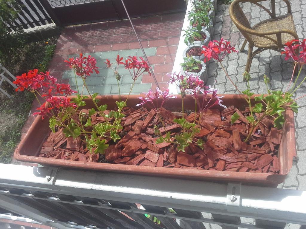 Friends Villa Apartments Heviz Ngoại thất bức ảnh